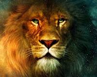 pic for Aslan Lion 1600x1280